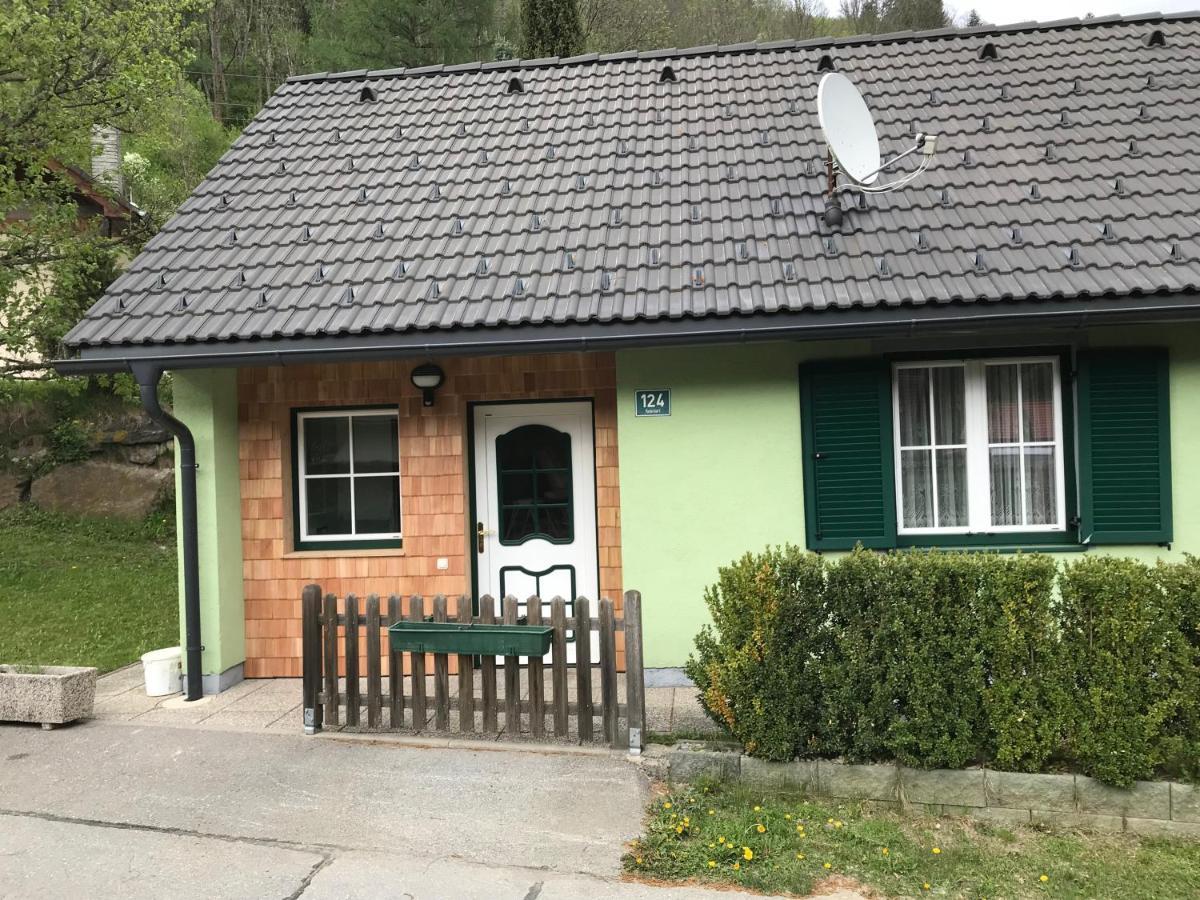 Ferienhaus Stolz Sankt Peter am Kammersberg Kültér fotó